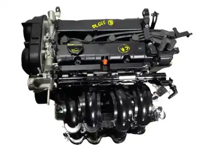 Gebrauchtes Autoersatzteil kompletter motor zum ford focus lim. (cb8) 1.6 16v ti-vct cat oem-iam-referenzen 1727626  pndd