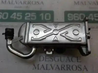 Pezzo di ricambio per auto di seconda mano RAFFREDDATORE EGR per VOLKSWAGEN GOLF VI (5K1)  Riferimenti OEM IAM 03L131512CF  
