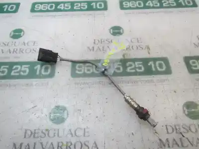 Pezzo di ricambio per auto di seconda mano sonda lambda per fiat panda (319) 1.2 cat (gpl) riferimenti oem iam 51774422