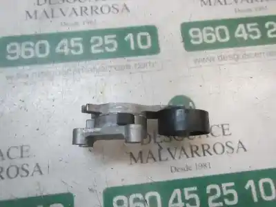 Pezzo di ricambio per auto di seconda mano tendicinghia ausiliaria per ford fiesta (ccn) titanium riferimenti oem iam 1690293  