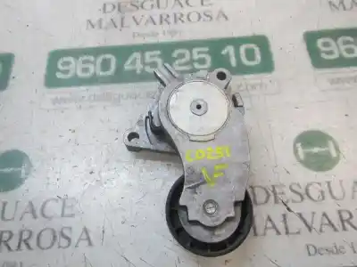Pezzo di ricambio per auto di seconda mano tendicinghia ausiliaria per ford fiesta (ccn) titanium riferimenti oem iam 1690293  