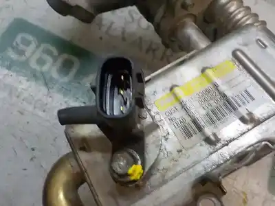 Pezzo di ricambio per auto di seconda mano raffreddatore egr per toyota auris (_e15_) 1.4 d-4d (nde150_) riferimenti oem iam   