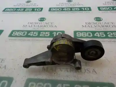 Peça sobressalente para automóvel em segunda mão Esticador De Correia por VOLKSWAGEN GOLF V BERLINA (1K1) 1.9 TDI Referências OEM IAM   
