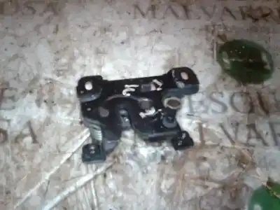 Pezzo di ricambio per auto di seconda mano CHIUSURA DEL CAPPUCCIO per AUDI A4 BERLINA (B5)  Riferimenti OEM IAM 8D0823509J  