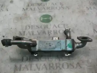 Peça sobressalente para automóvel em segunda mão radiador de gases de escape (egr) por seat alhambra (7v9) signo referências oem iam 