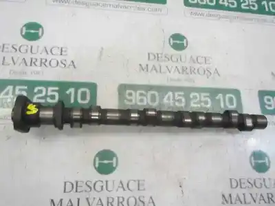 Pièce détachée automobile d'occasion Arbre à Cames pour BMW SERIE 3 BERLINA (E30) 1.6 Références OEM IAM   