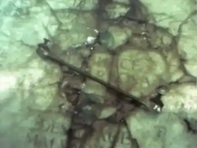 Peça sobressalente para automóvel em segunda mão braço oscilante suspensão dianteiro direito por citroen c3 1.4 referências oem iam 