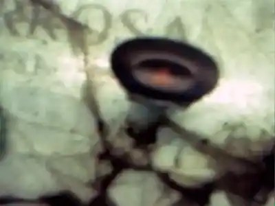 Автозапчасти б/у предупреждение за daewoo matiz s ссылки oem iam 