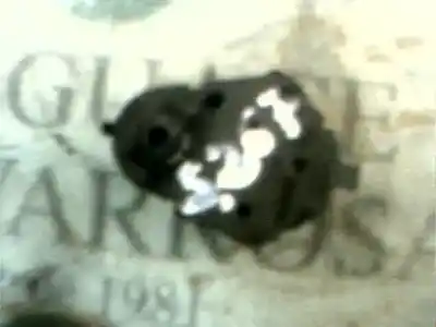 Second-hand car spare part electronic module for bmw serie 5 berlina (e60) 530d oem iam references   69303059