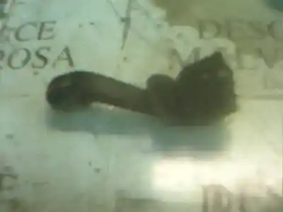 Peça sobressalente para automóvel em segunda mão comutador de piscas  por bmw serie 7 (e38) 725tds referências oem iam 61318352172