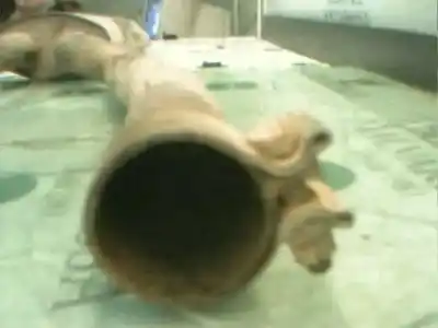 Peça sobressalente para automóvel em segunda mão escapamento dianteiro por jaguar xj 3.2 v8 32v cat referências oem iam   