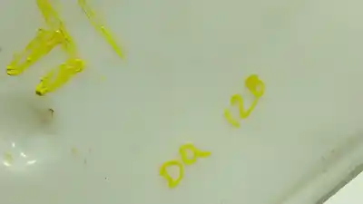 Second-hand car spare part windscreen washer bottle for volkswagen id.4 (e21) pro oem iam references 1ea955453  1ea955453