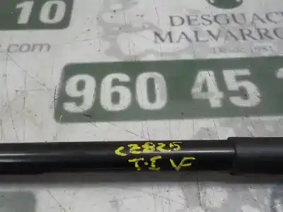 Peça sobressalente para automóvel em segunda mão amortecedores do tronco / porta por skoda spaceback (5h) 1.6 tdi dpf referências oem iam 5jj827550f  