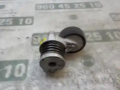 Peça sobressalente para automóvel em segunda mão esticador de correia por renault scenic iii 1.5 dci diesel fap referências oem iam 117501113r  