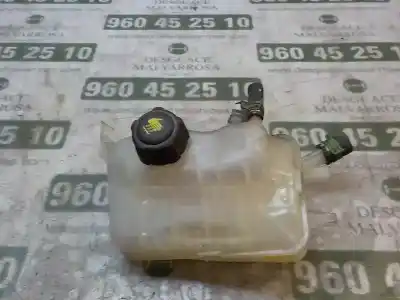 Peça sobressalente para automóvel em segunda mão Depósito De Expansão por RENAULT SCENIC III 1.5 dCi Diesel FAP Referências OEM IAM 217100005R  