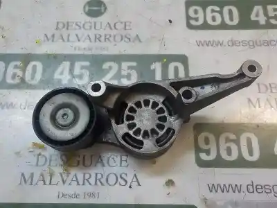 İkinci el araba yedek parçası Yardimci Kayis Gergi için VOLKSWAGEN GOLF V BERLINA (1K1) 1.9 TDI OEM IAM referansları   