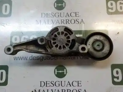 İkinci el araba yedek parçası yardimci kayis gergi için volkswagen golf v berlina (1k1) 1.9 tdi oem iam referansları   