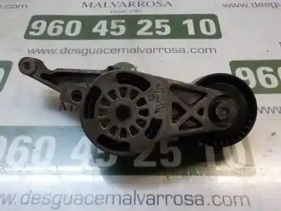 İkinci el araba yedek parçası yardimci kayis gergi için volkswagen golf v berlina (1k1) 1.9 tdi oem iam referansları   