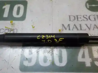 Pezzo di ricambio per auto di seconda mano ammortizzatori baule / porte per fiat linea (323_, 110_) 1.4 riferimenti oem iam 51859320  