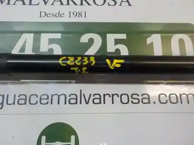 Pezzo di ricambio per auto di seconda mano ammortizzatori baule / porte per citroen c4 cactus business riferimenti oem iam 9813913880  