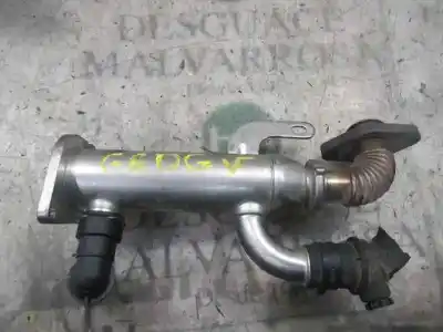 Pezzo di ricambio per auto di seconda mano raffreddatore egr per ford kuga (cbv) 2.0 tdci cat riferimenti oem iam   