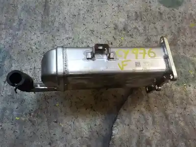 Pezzo di ricambio per auto di seconda mano raffreddatore egr per seat ibiza (6j5) stylance / style riferimenti oem iam 03l131527x  