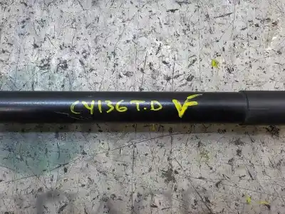 Peça sobressalente para automóvel em segunda mão amortecedores do tronco / porta por ford fiesta (ccn) trend referências oem iam 1666068  