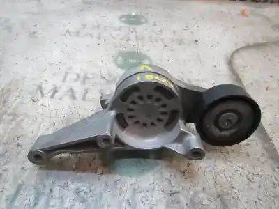 Pezzo di ricambio per auto di seconda mano tendicinghia ausiliaria per seat leon (1p1) reference riferimenti oem iam 03g903315c