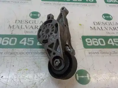 İkinci el araba yedek parçası yardimci kayis gergi için volkswagen golf v berlina (1k1) 1.9 tdi oem iam referansları   