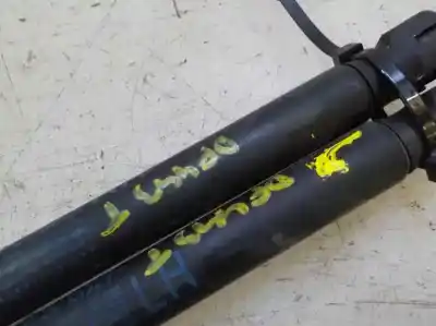 Peça sobressalente para automóvel em segunda mão amortecedores do tronco / porta por kia pro_cee´d 2.0 crdi referências oem iam 817701h310  