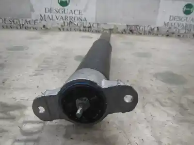 Peça sobressalente para automóvel em segunda mão amortecedor traseiro direito por ford focus lim. (cb8) 1.6 tdci cat referências oem iam 1751388  