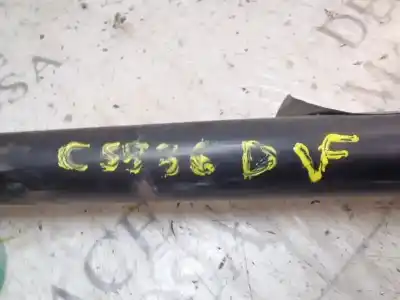 Pezzo di ricambio per auto di seconda mano ammortizzatore posteriore destro per seat toledo (1m2) signo riferimenti oem iam   