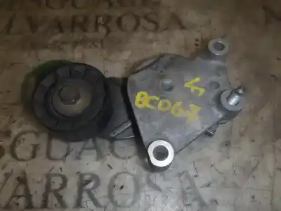 Pezzo di ricambio per auto di seconda mano tendicinghia ausiliaria per citroen c2 (jm_) 1.4 hdi riferimenti oem iam 