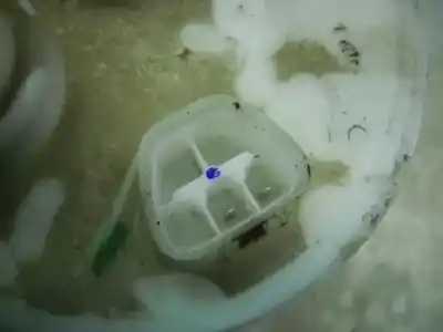 Piesă de schimb auto la mâna a doua indicator pentru toyota corolla (_e12_) 1.4 d (nde120_) referințe oem iam   