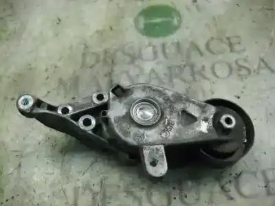 Pezzo di ricambio per auto di seconda mano tendicinghia ausiliaria per seat leon (1m1) signo riferimenti oem iam   
