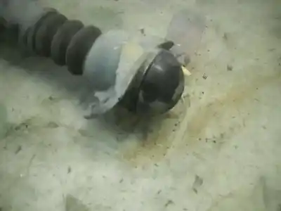 Pezzo di ricambio per auto di seconda mano ammortizzatore posteriore destro per seat toledo (1m2) signo riferimenti oem iam   