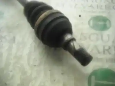 Pezzo di ricambio per auto di seconda mano guida destra per daewoo lanos 1.5 cat riferimenti oem iam   