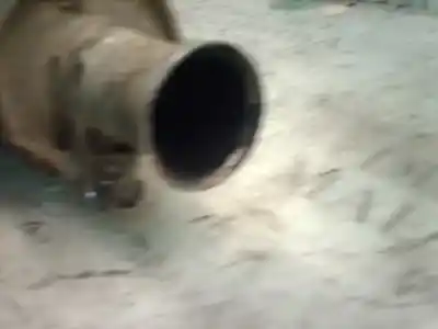 Peça sobressalente para automóvel em segunda mão escapamento central por audi 80 avant básico avant referências oem iam   