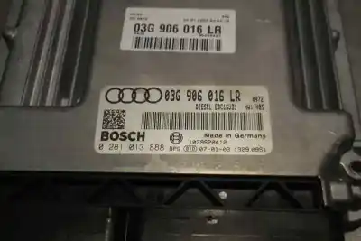Pezzo di ricambio per auto di seconda mano centralina motore per audi a4 b7 (8ec) 2.0 tdi 16v riferimenti oem iam 03g906016lr  