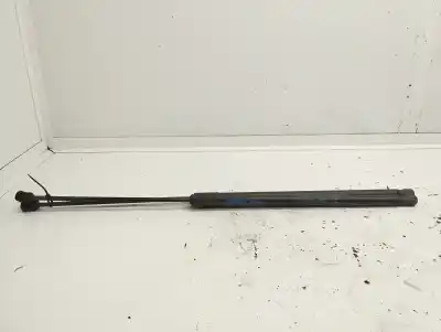 Pezzo di ricambio per auto di seconda mano AMMORTIZZATORI BAULE / PORTE per FORD CMAX 2  Riferimenti OEM IAM AM51R406A10AE  