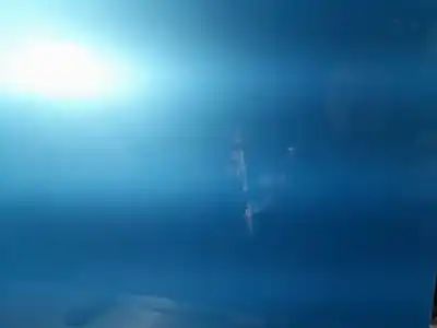 Автозапчасти б/у дверь передняя правая за daewoo matiz 1.0 cat ссылки oem iam   