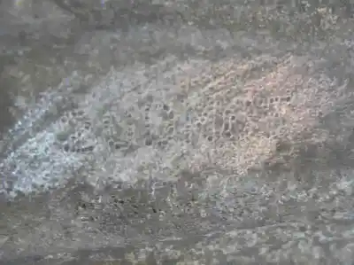 Pezzo di ricambio per auto di seconda mano riduttore per citroen c5 berlina lx (e) riferimenti oem iam 20dm65  