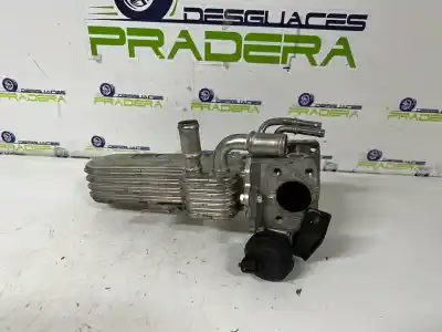 Pezzo di ricambio per auto di seconda mano RAFFREDDATORE EGR per VOLKSWAGEN GOLF VI (5K1)  Riferimenti OEM IAM 039131513AD  