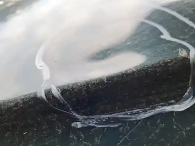 Автозапчастина б/у капок для nissan navara pick-up (d40m) doble cab le 4x4 посилання на oem iam   