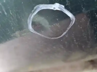 Автозапчастина б/у передні ліві двері для nissan navara pick-up (d40m) doble cab le 4x4 посилання на oem iam   