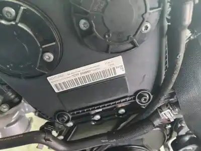 Gebrauchtes Autoersatzteil KOMPLETTER MOTOR zum AUDI A6 BERLINA (4GC)  OEM-IAM-Referenzen CYP  