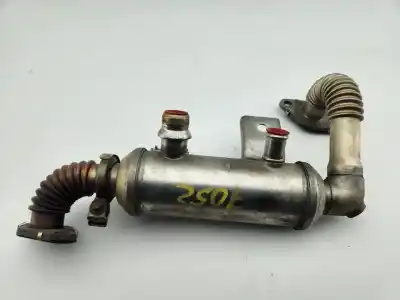 Pezzo di ricambio per auto di seconda mano raffreddatore egr per ford focus lim. (cb4) trend riferimenti oem iam 4m5q9f464b1c  