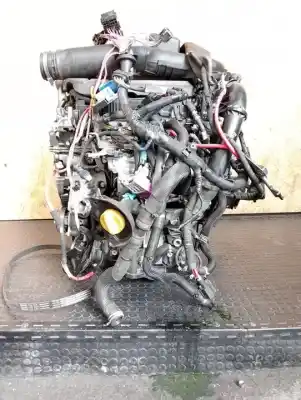 İkinci el araba yedek parçası KOMPLE MOTOR için RENAULT TRAFIC COMBI  OEM IAM referansları M9R710  