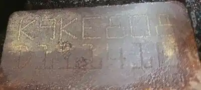 Second-hand car spare part complete engine for renault kangoo dynamique acción especial oem iam references k9k808  