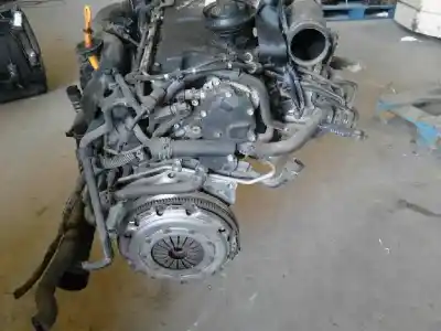 Pezzo di ricambio per auto di seconda mano motore completo per audi a3 (8p) 1.9 tdi riferimenti oem iam bkc  